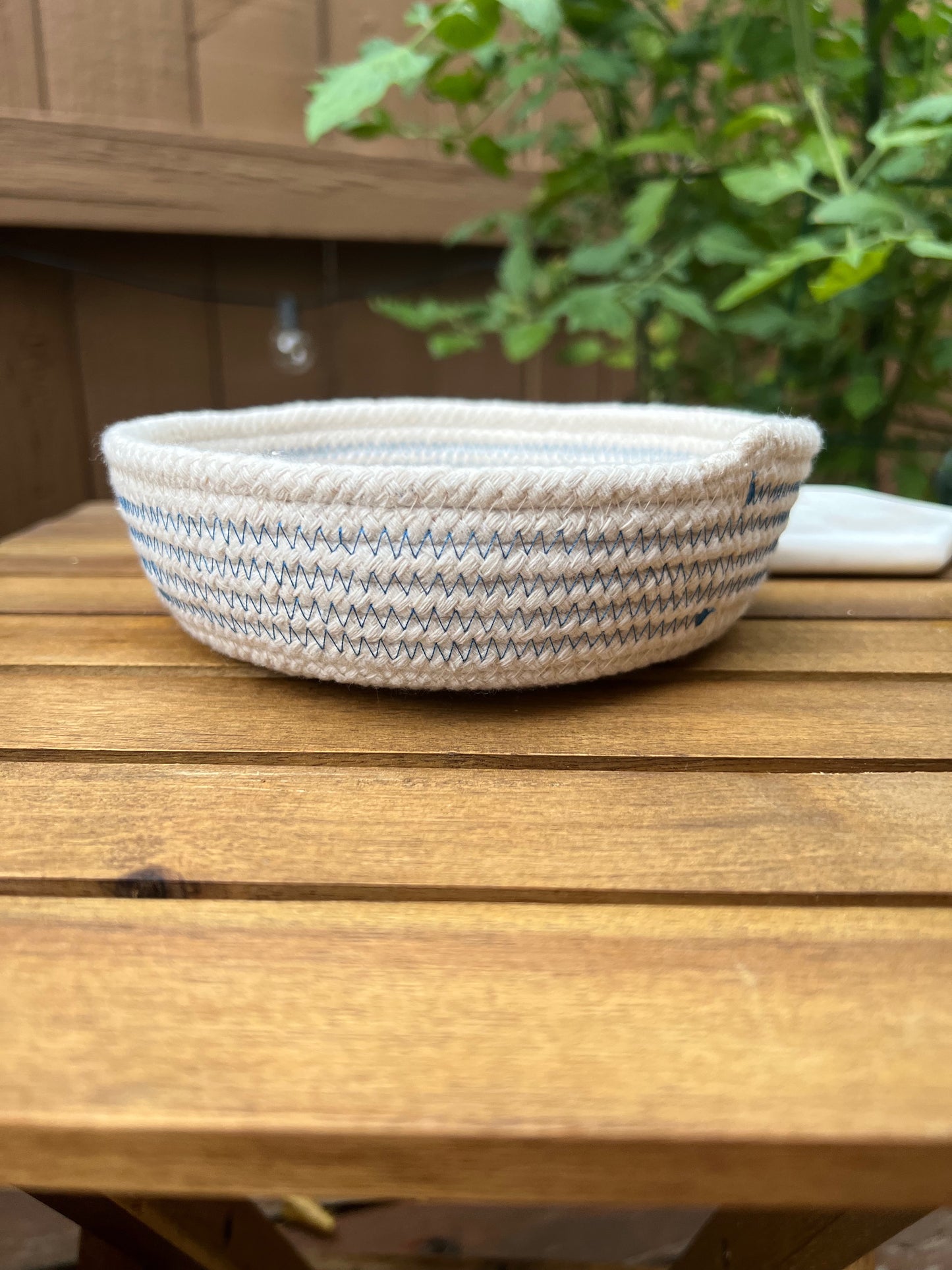 Blue Basket Tray